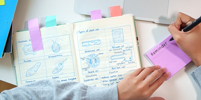 A notebook with pages annotated by Post-it® Page Markers, while a student makes reminder notes on a Post-it® Note
